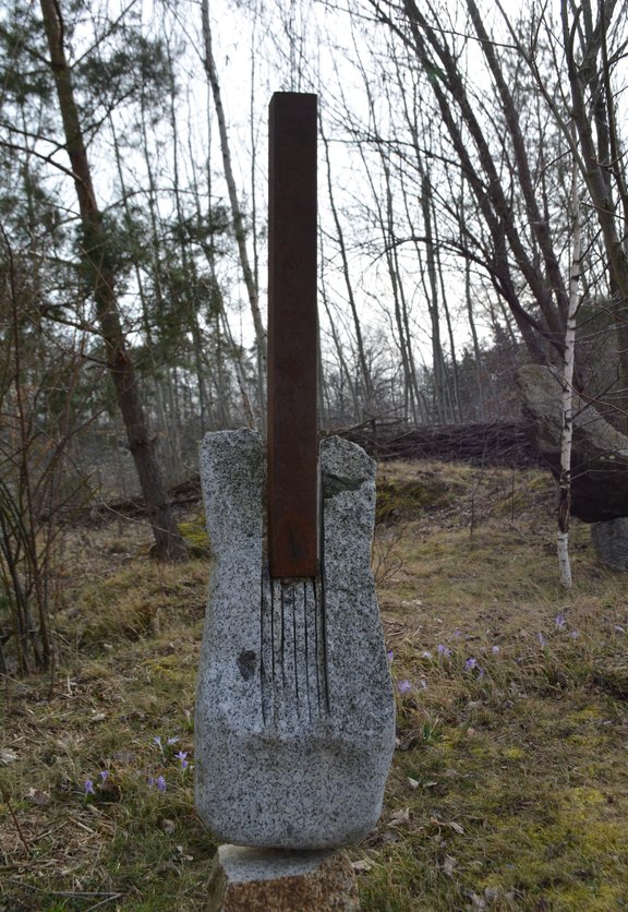 DSC_2019-14__1__01.JPG 